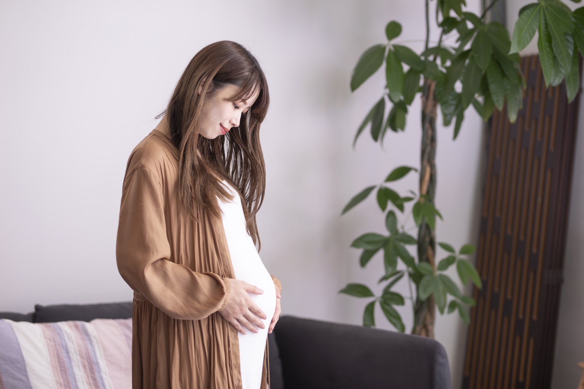 高齢者と妊婦を支える、優しい介護タクシーの未来