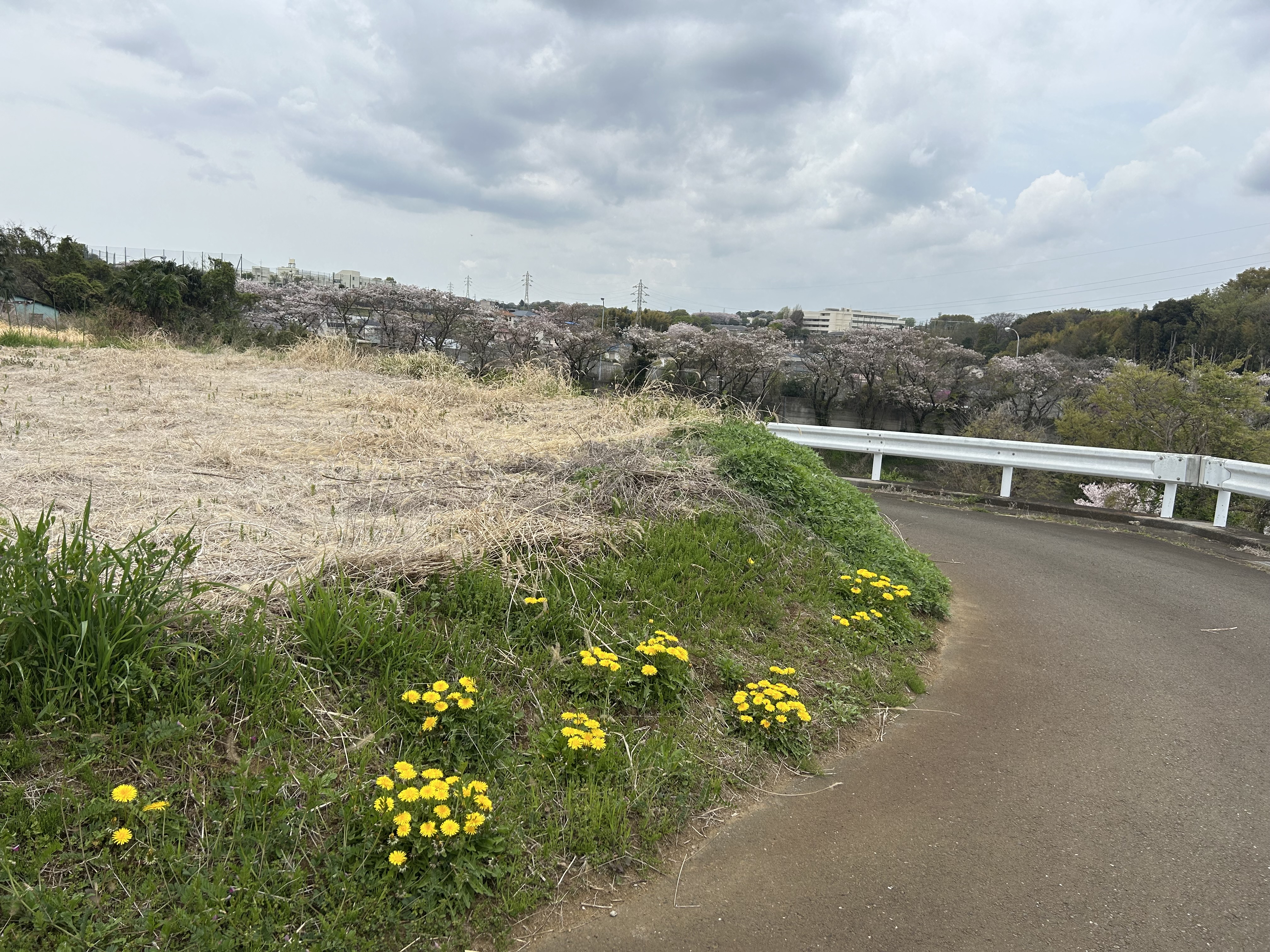 心と身体の回復を共に歩む。
